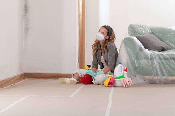 Reliable Mold Testing contractor in Poulsbo, WA by WQB Mold Removal